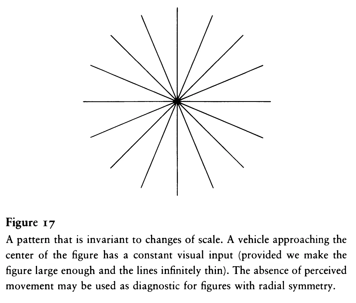 Primary-source scan of Figure 17 from Braitenberg's Vehicles, showing the scale-invariant radial-symmetry pattern and its printed caption.