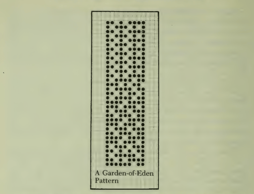Garden-of-Eden pattern from The Recursive Universe